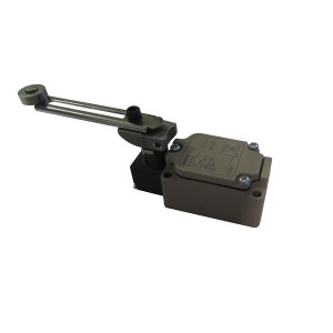 Limit switch WLCA12 (1)