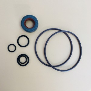 Hydraulic Reversing Valve Seal Kit MG.00.11.19.01