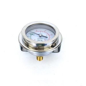 Pressure Gauge HS75670 (1)