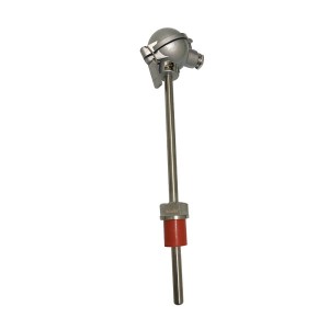 RTD temperature probe WZP2-231 (5)