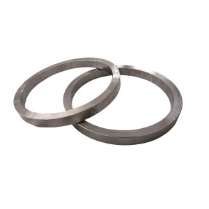 Sealing ring (3)