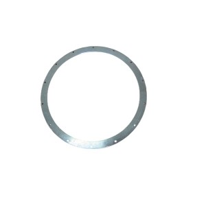 Sealing ring (4)