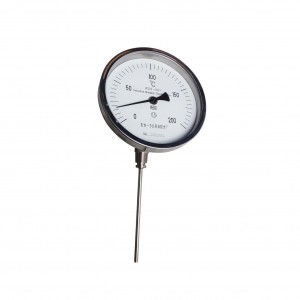 Thermo Gauge WSS-581W (2)