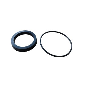 float valve sealing ring SFDN80 (1)