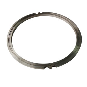 sealing ring (1)