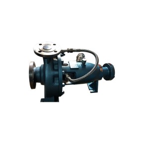 CZ80-160 centrifugal pump